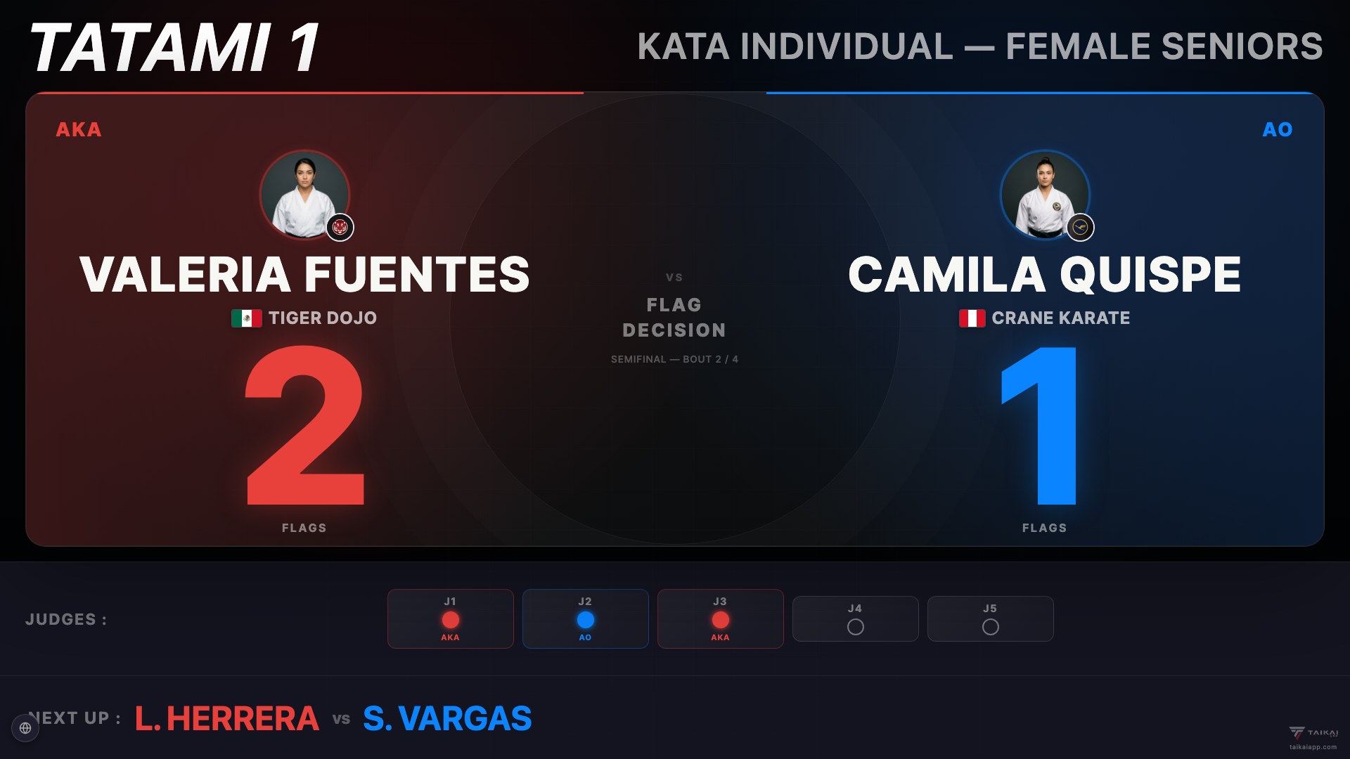 Kata flags decision screen